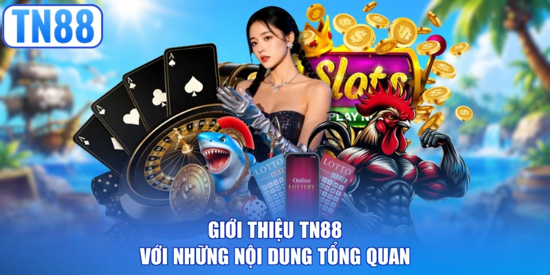 Giới thiệu TN88 với những nội dung tổng quan
